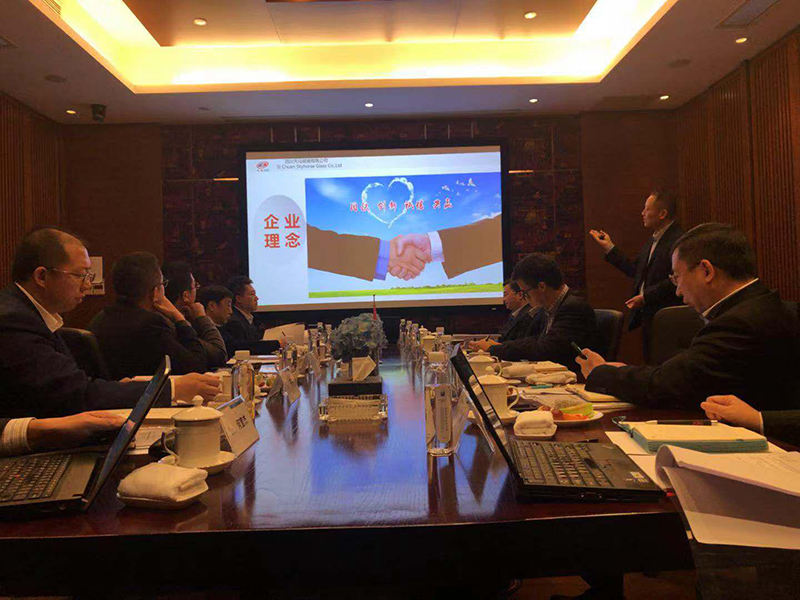 四川天馬玻璃有限公司第三屆第五次董事會(huì)成功召開(圖3) 四川天馬玻璃有限公司第三屆第五次董事會(huì)成功召開(圖3)